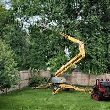 Best Artificial Turf Installation  in Dodgeville, WI