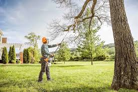 Best Weed Control  in Dodgeville, WI