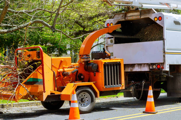 Best Emergency Tree Removal  in Dodgeville, WI