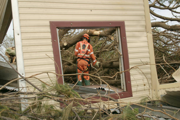 Best Tree Mulching  in Dodgeville, WI